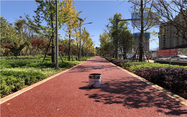 萬(wàn)科小區(qū)綠道